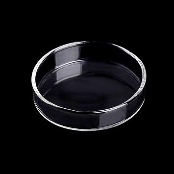 WEAVERBIRD Aquarium Shrimp Feeder Dish Glass Fish Tank Feeding Bowls Round Clear Dishes Tray (80MM)