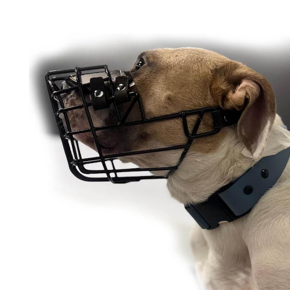 Bozal de Metal para Perro (Talla 38, XL) para Amstaff Grande, Pit Bull, Ca de BOU - Cesta de Alambre de tamaño máximo para Cabeza Ancha y hocico Corto - Duradero y Transpirable