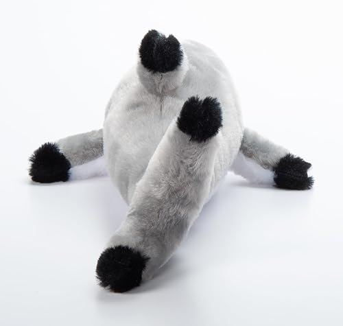 Miniatura 7 de The Petting Zoo Blacktip - Peluche de tiburón de peluche, regalos para niños, animales salvajes del océano Onez, juguete de peluche de tiburón de 16