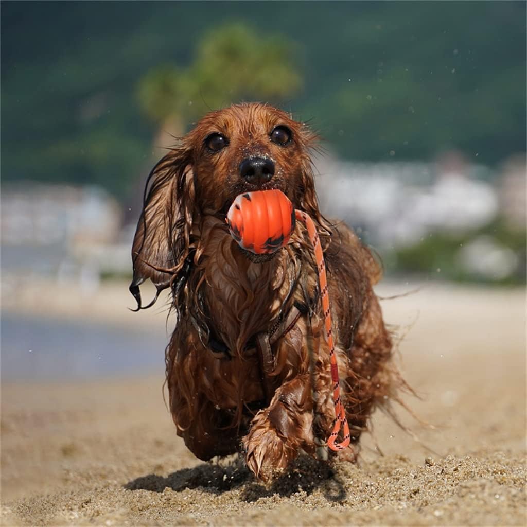 ゴムペット玩具ボールロープトレーニングモル歯犬インタラクティブおもちゃ小犬ペット用品 (Color : A, Size : As t