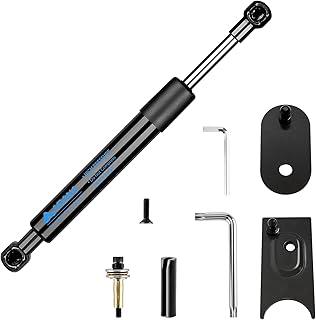 Dodge Ram 1500 2009-2018, for 2019-2022 Dodge Ram 1500 Pickup Classic Truck Tailgate Assist Shock Strut Kit Fit (Not fit for New Version), for Dodge Ram 2500/3500 2010-2019 ARANA