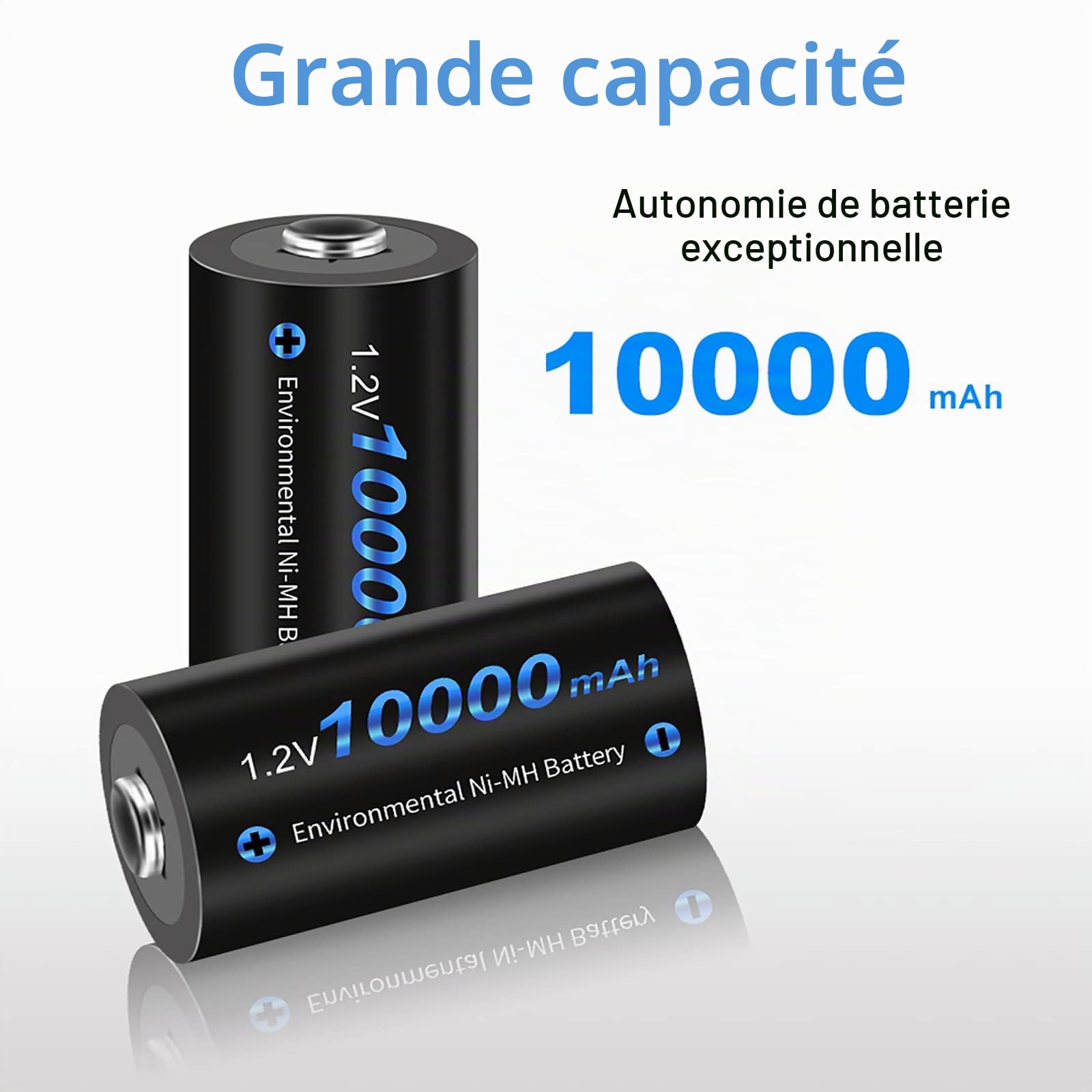CITYORK 10 000 mAh 1,2 V Ni-MH D Piles Rechargeables Haute capacité Parfaites pour Une Utilisation Quotidienne et Professionnelle Comprend Un étui à Piles – Lot de 6