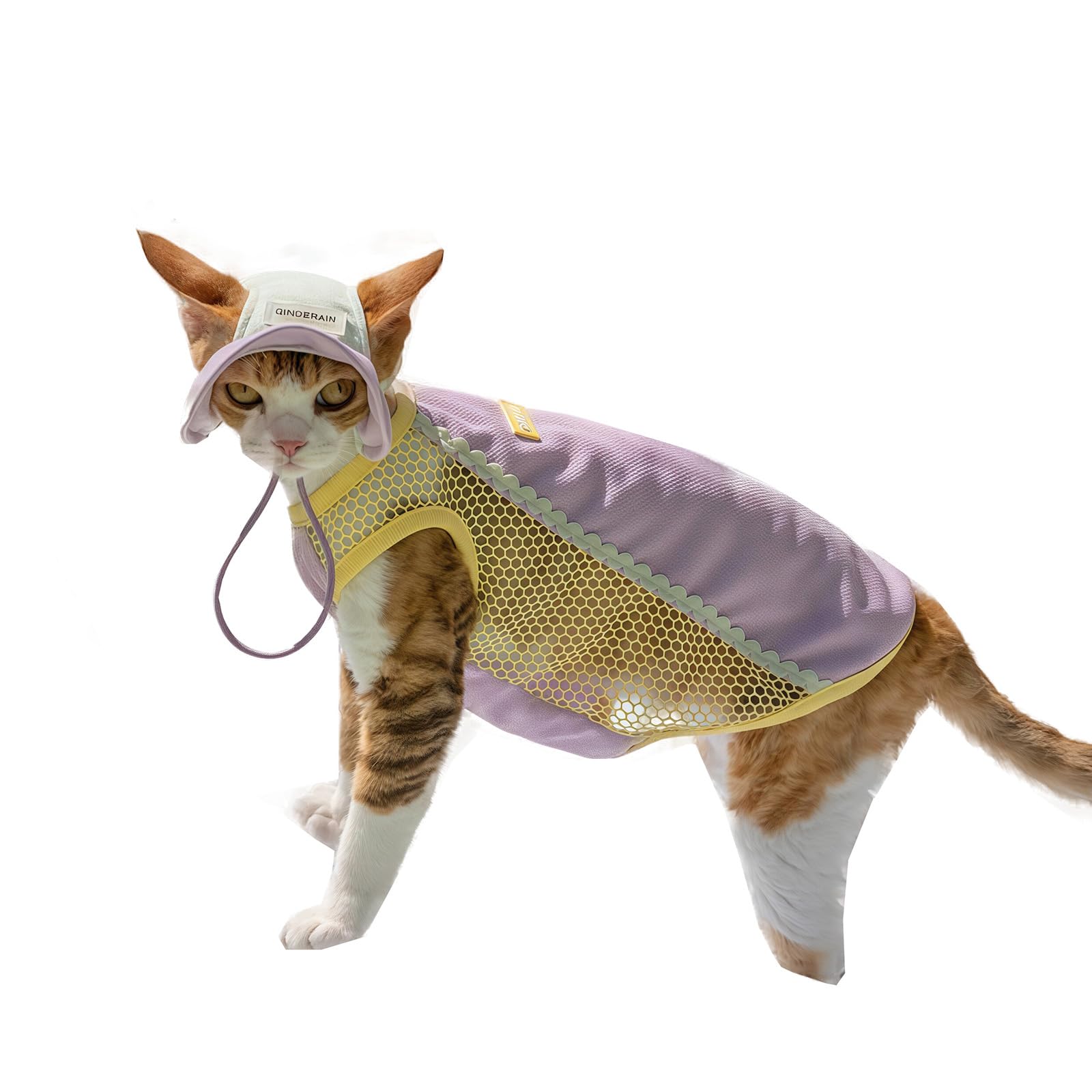 Chapeau de soleil pour chat Sphynx protégeant la peau sensible des coups de soleil en été