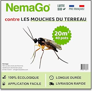 Nematodes Mouches Terreau SF (10 Millions) - Traitement Biologique Moucherons Interieur - 40 Plantes - 20m² - Efficace sur Larves et Pupes - Sécurité Humaine et Animale - Utilisation Facile