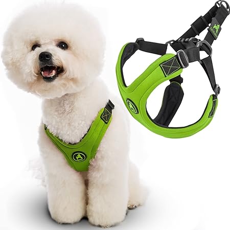 amazon chew proof dog bed