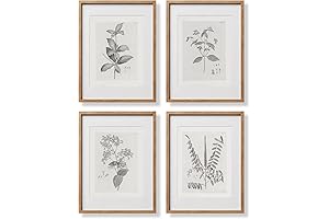 Vintage Botanical Print Frames: Enhance Your Living Spaces with Nature's Beauty