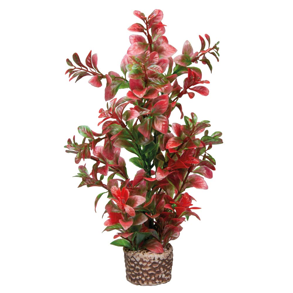 Hobby 51536 Flora Stone 7