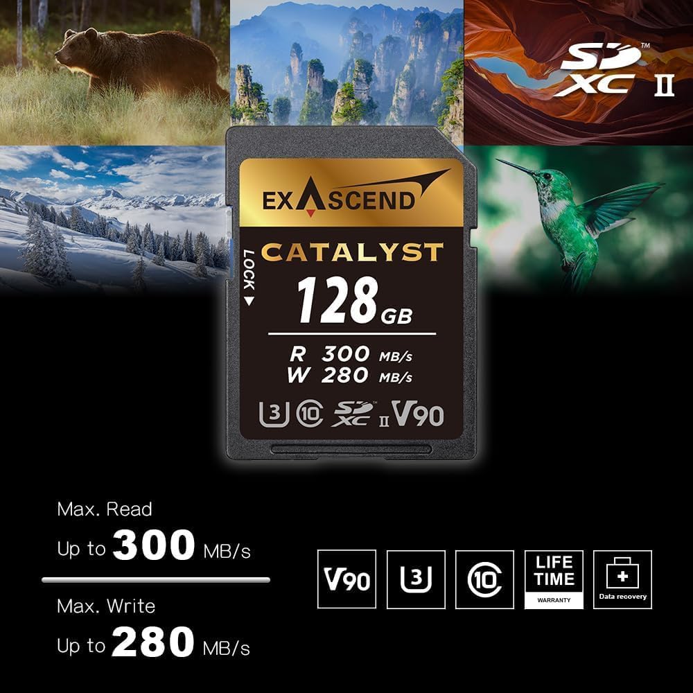 Exascend 64G/128G Catalyst SD Card, C10, U3, V90, up to 300MB/s, Compatible with Canon, Nikon, Panasonic and Other Cameras. (128GB)