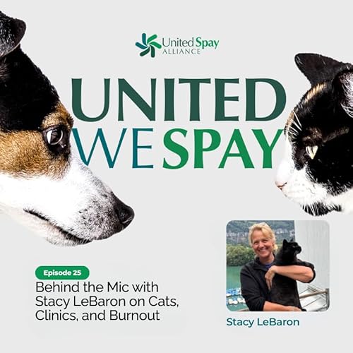 025: Behind the Mic with Stacy LeBaron on Cats, Clinics, and Burnout