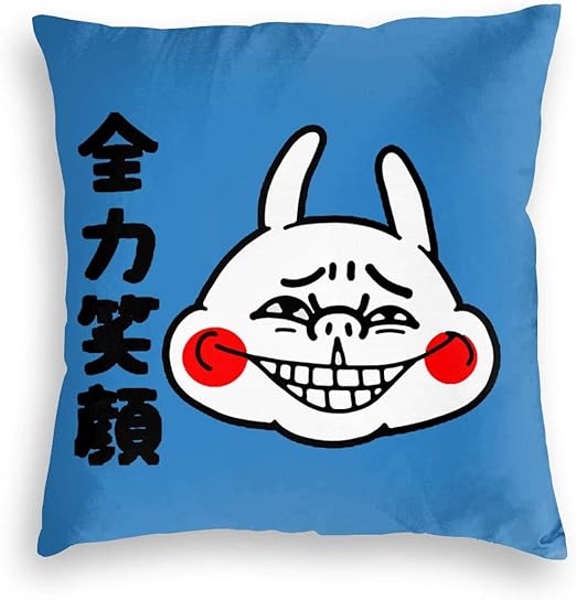 Amazon Co Jp 全力笑顔 ウサギ クッションカバー 枕カバー 装飾枕カバー 座布団カバー ソファ背当て 抱き枕カバー ベルベット 柔らか 隠すファスナー 可愛い 車 クッション 45 45cm ホーム キッチン