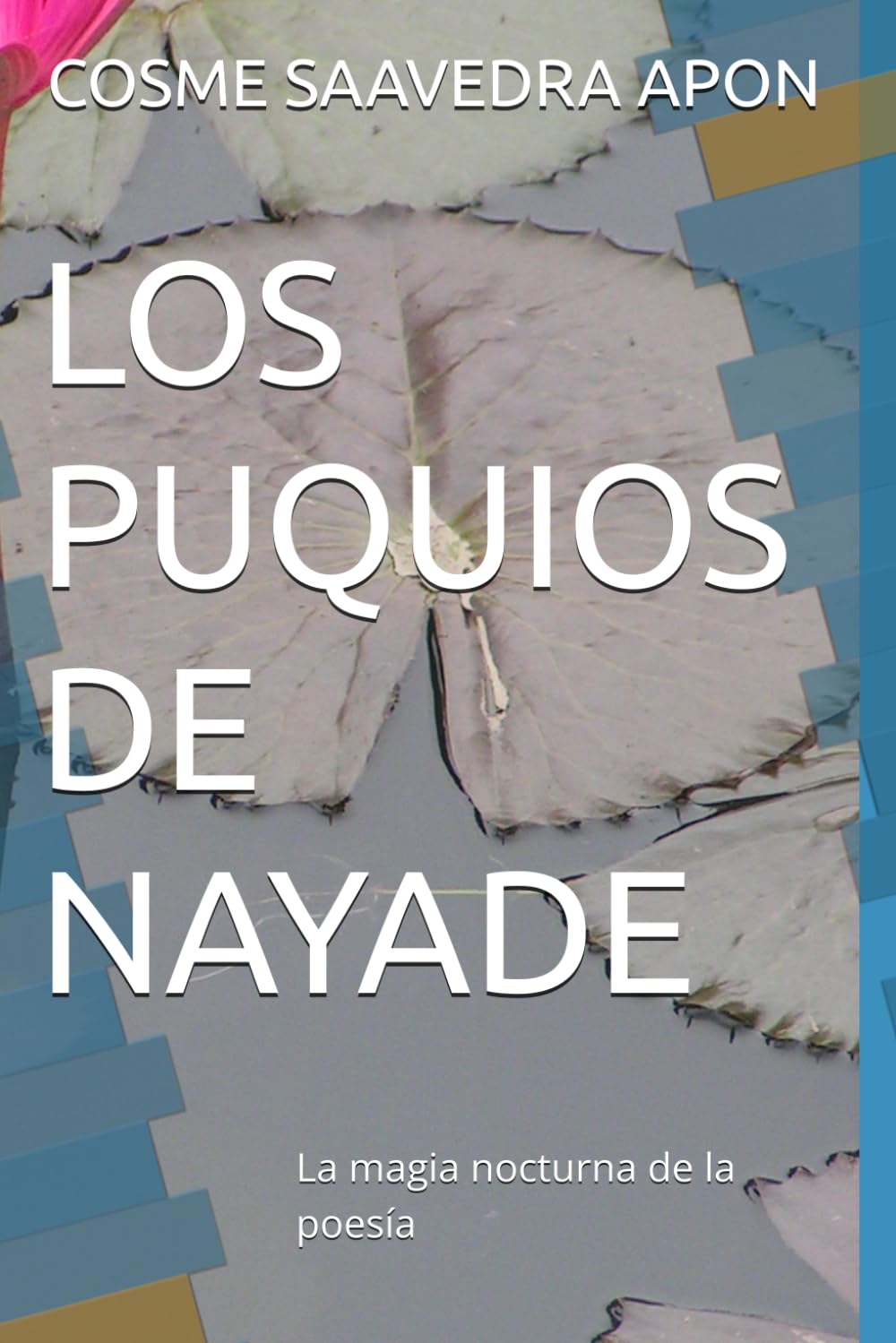 LOS PUQUIOS DE NAYADE: La magia nocturna de la poesía