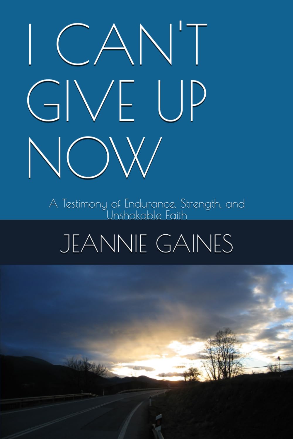 I CAN'T GIVE UP NOW: A Testimony of Endurance, Strength, and Unshakable Faith      Paperback – December 15, 2025