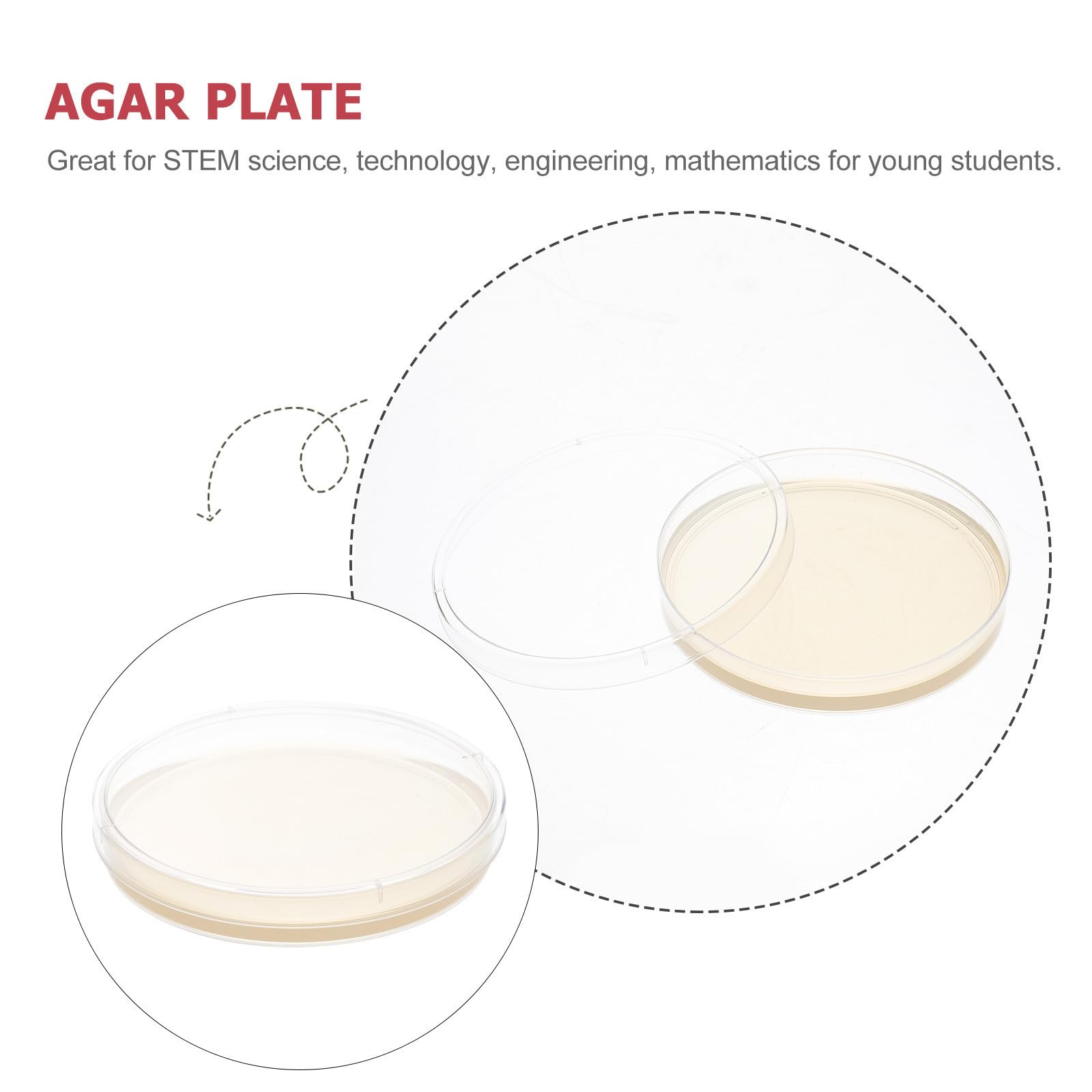 Levemolo Sterile Nähragarplatten 9cm aus Agar und PC Vielseitig für Kulturen 20 Stück für Forschung und Lehre im Laborgebrauch