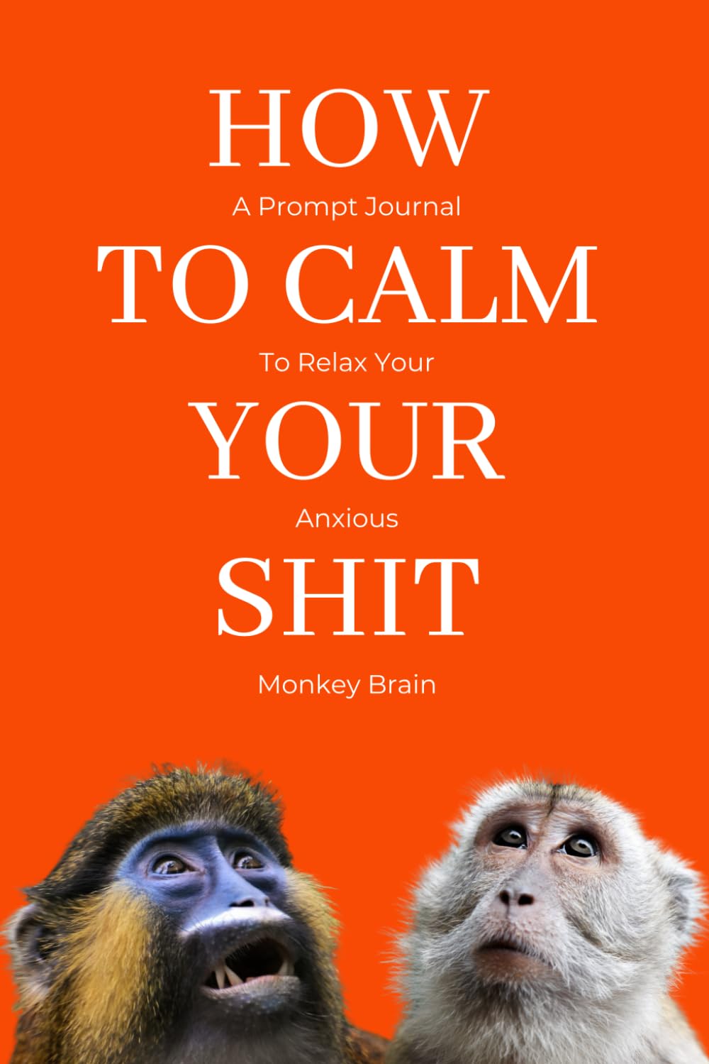 How To Calm Your Shit: A Prompt Journal To Relax Your Anxious Monkey Brain | 50 Guided Prompts to Ease Anxiety, Worry, and Fear | For Mental Health, ... | Perfect Calming Gift for Adults and Teens