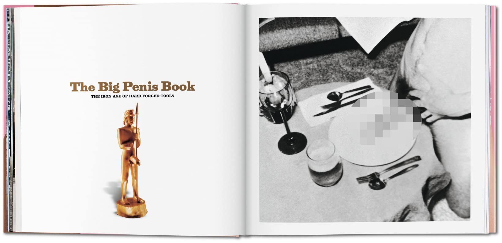 The Big Penis Book: The Fascinating Phallus