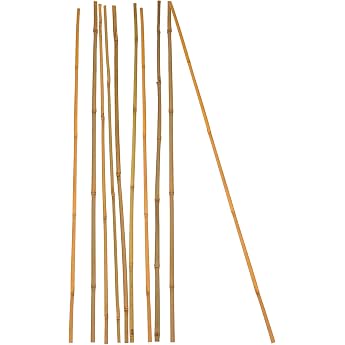 BigDean 10x Plant Stakes Bamboo Stakes 105 cm x 8-10 mm Bamboo Trellis Plant Stake Tonkin Rod 100% Natural Product Plant Sticks Bamboo Sticks Bamboo Poles