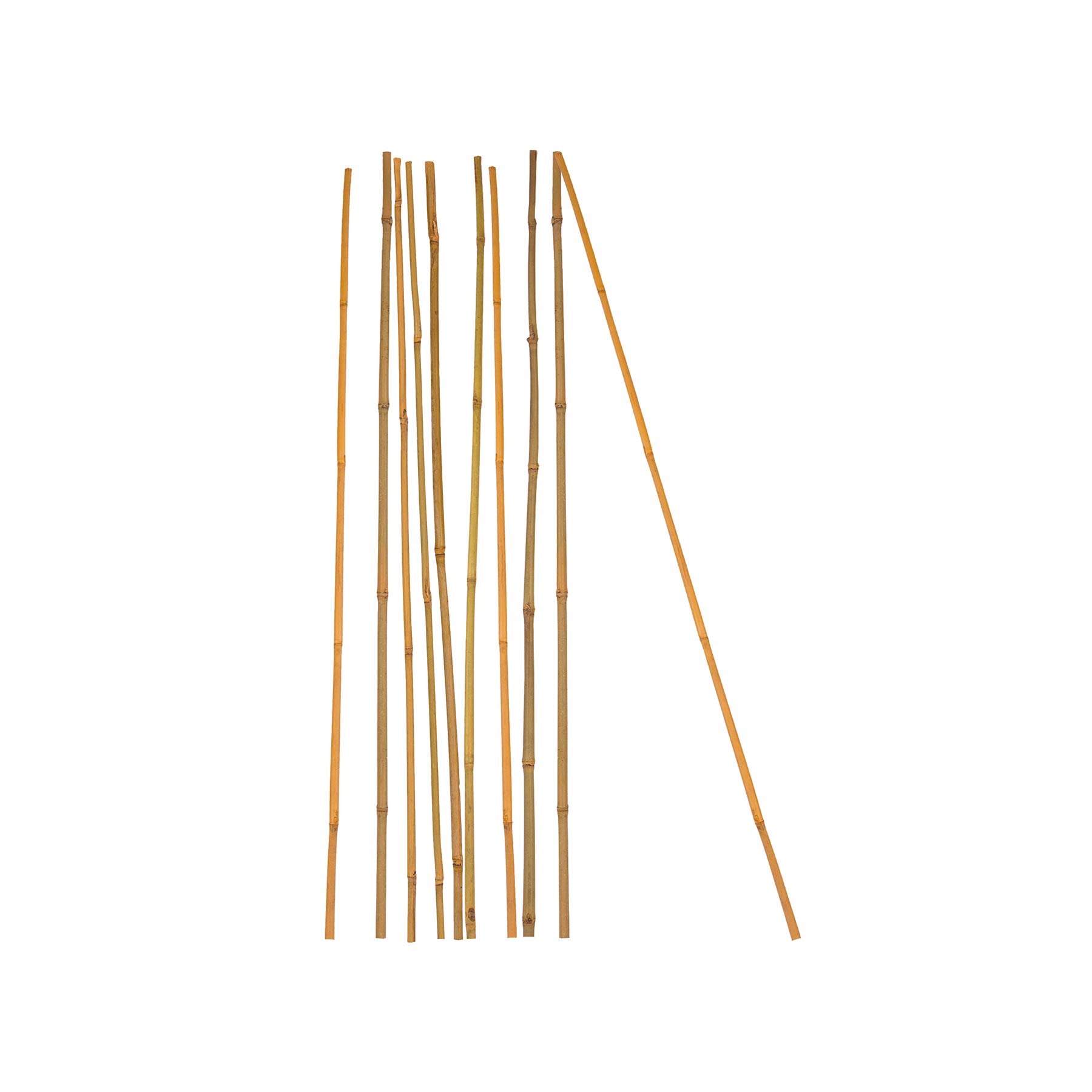 BigDean 10x Pflanzstab Bambusstab 105 cm x 8-10 mm Bambus Rankhilfe Pflanzstab Tonkinstab 100% Naturprodukt Pflanzstäbe Bambusstäbe Bambusstangen