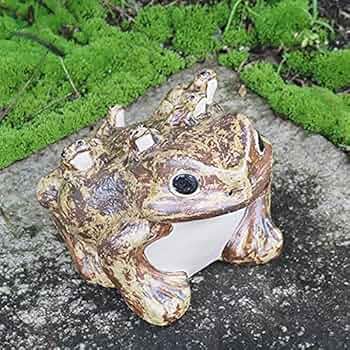 Amazon.co.jp: 信楽焼 8号五匹子付き蛙【ka-0049】 むかえる む