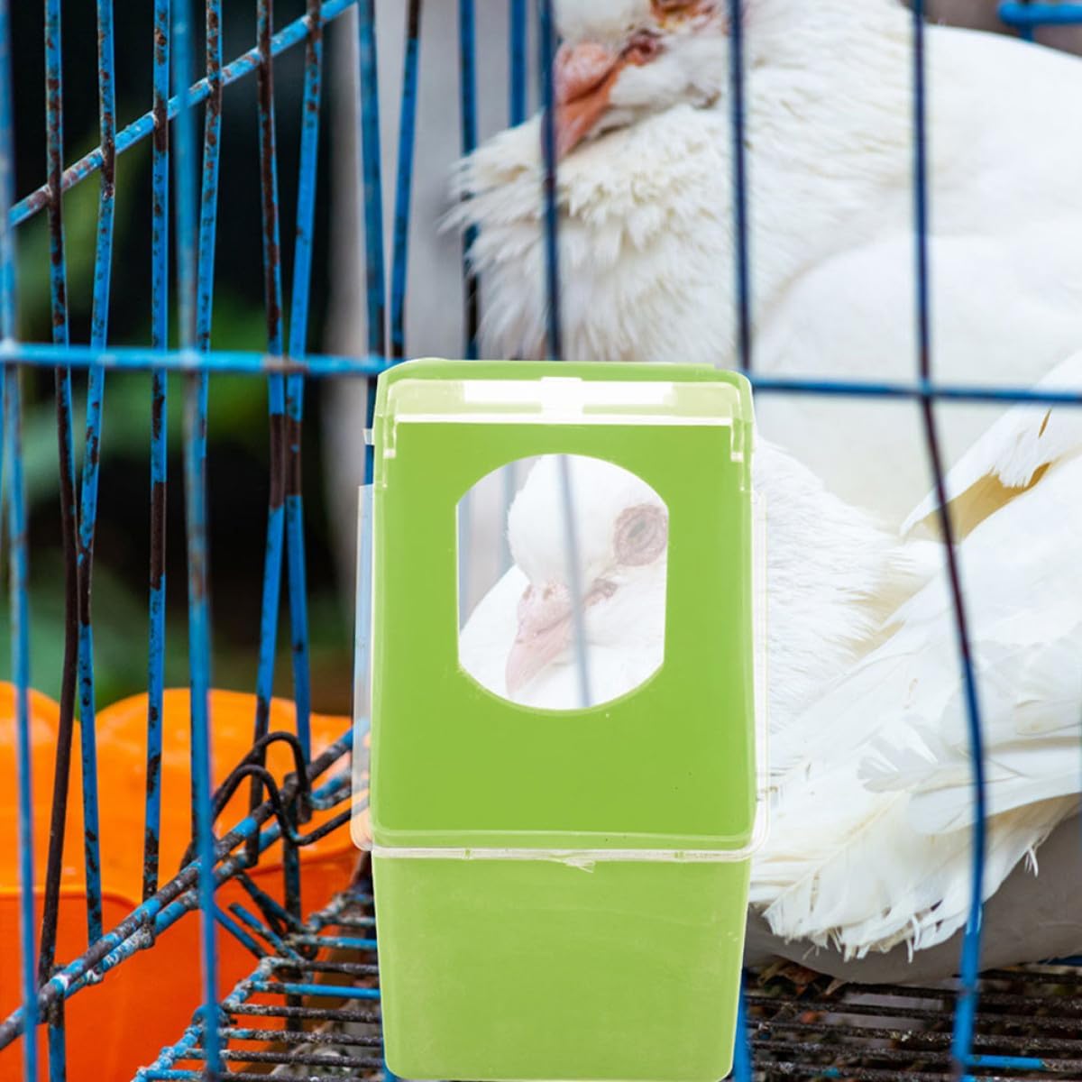 HOMSFOU 4pcs Hanging Pigeon Feeder with Lid, Plastic Cage Bird Feeder for Cockatiel and Quail, Multi-Functional Feeding and Watering Container for Bird Cages, Green Single Hole Design