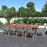 Brampton Patio Brampton Tucson 11-Piece Outdoor Rectangular Dining Table Set | Dark Teak Finish |...
