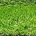 Rollo de Césped Artificial, Moqueta Terraza o Jardín de 20 MM Altura, (150 x 200 Centímetros)