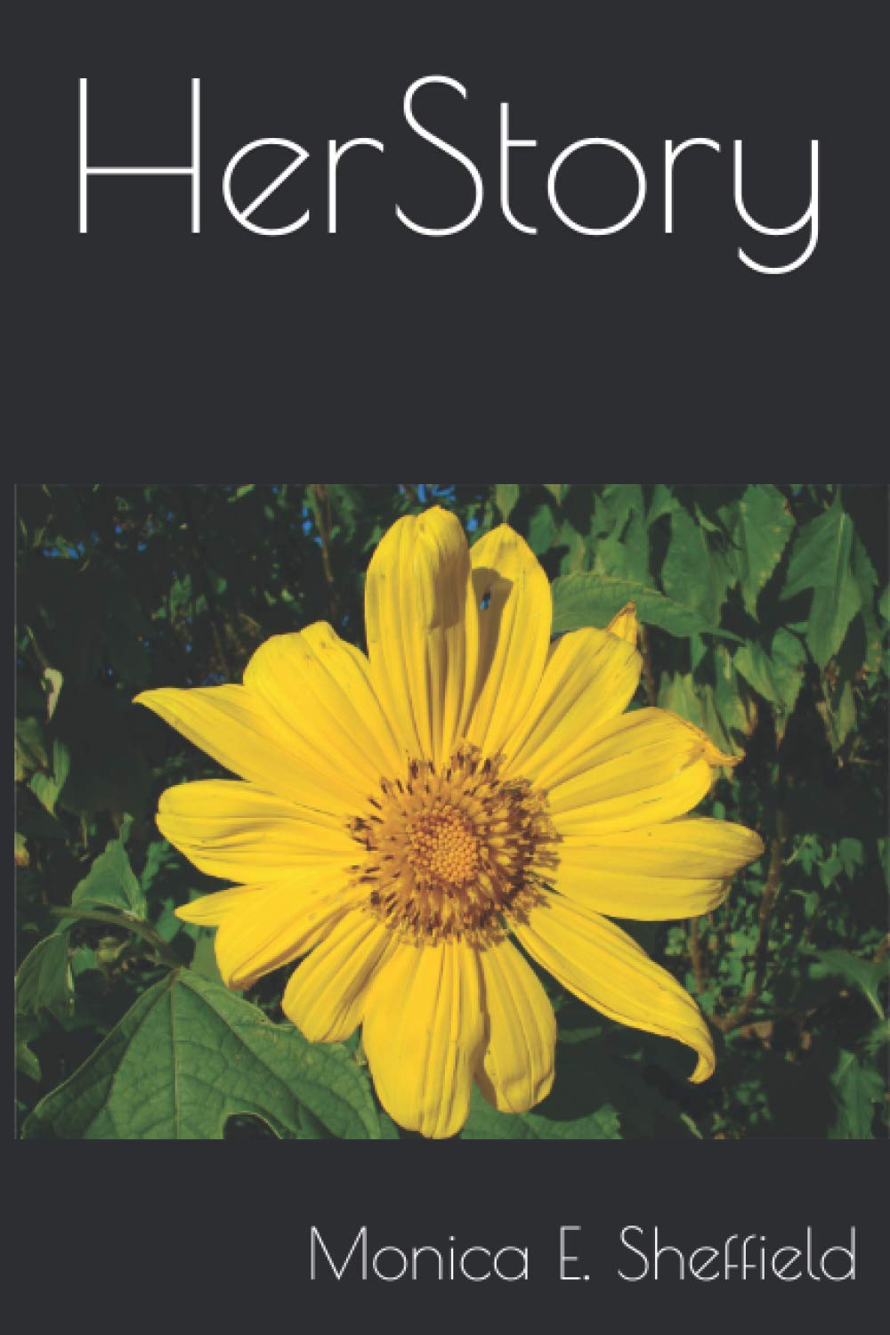 HerStory (The HISstory | HERstory Collection)
