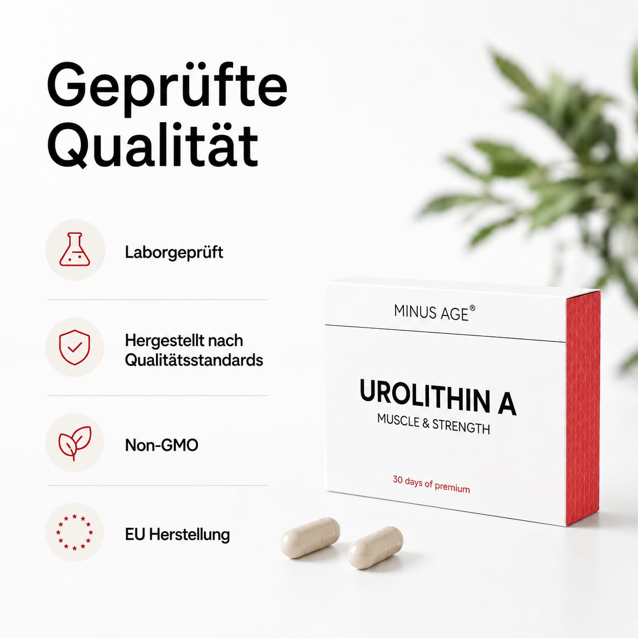 Urolithin A Kapseln 500 mg, 60 vegane Kapseln | Nahrungsergänzungsmittel, glutenfrei, laborgeprüft