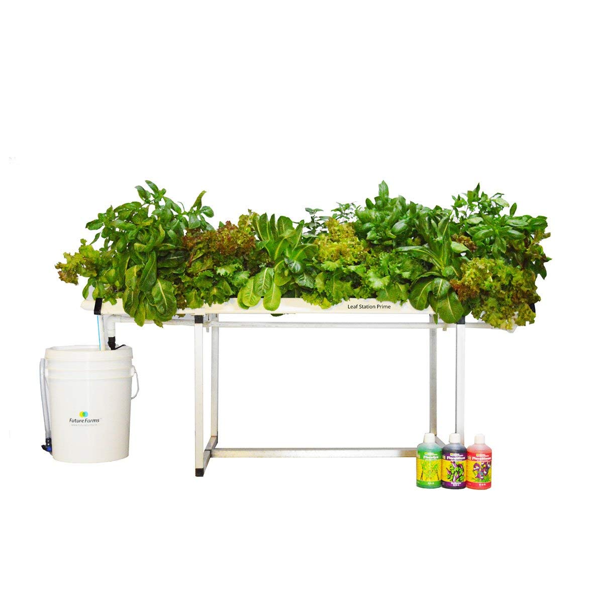 Future Farms Hydroponic Leafy Grower 28 : Amazon.in: Garden & Outdoors