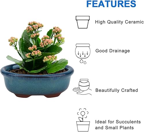 Miniatura 5 de Maceta Bonsái para suculentas, pequeñas macetas esmaltadas, paquete económico de 2 + 4 pantallas de drenaje de malla suave