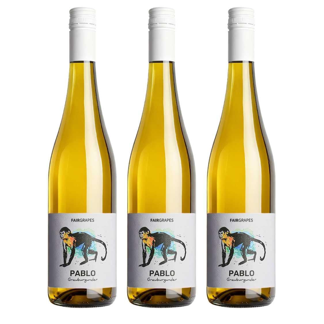 FairGrapes Grauburgunder »Pablo« Weißwein Trocken | 90 Punkte Falstaff | Best Buy | Aprikose & Birne | Vegan | Geschenkidee (3 x 0.75 l)