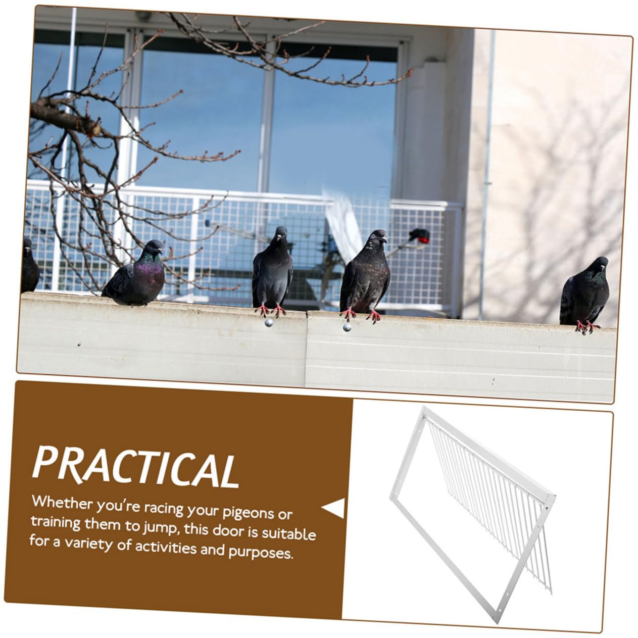 Porte de Cage pour Pigeon 2 Pièces en Fer Argenté Renforcée | Oiseaux, Accessoire de Cage, Usage Course et Entraînement, Sécurité Accrue, Lot 2 Pièces