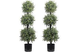 Live Topiary Triple Ball Set for Outdoor Front Door Decor