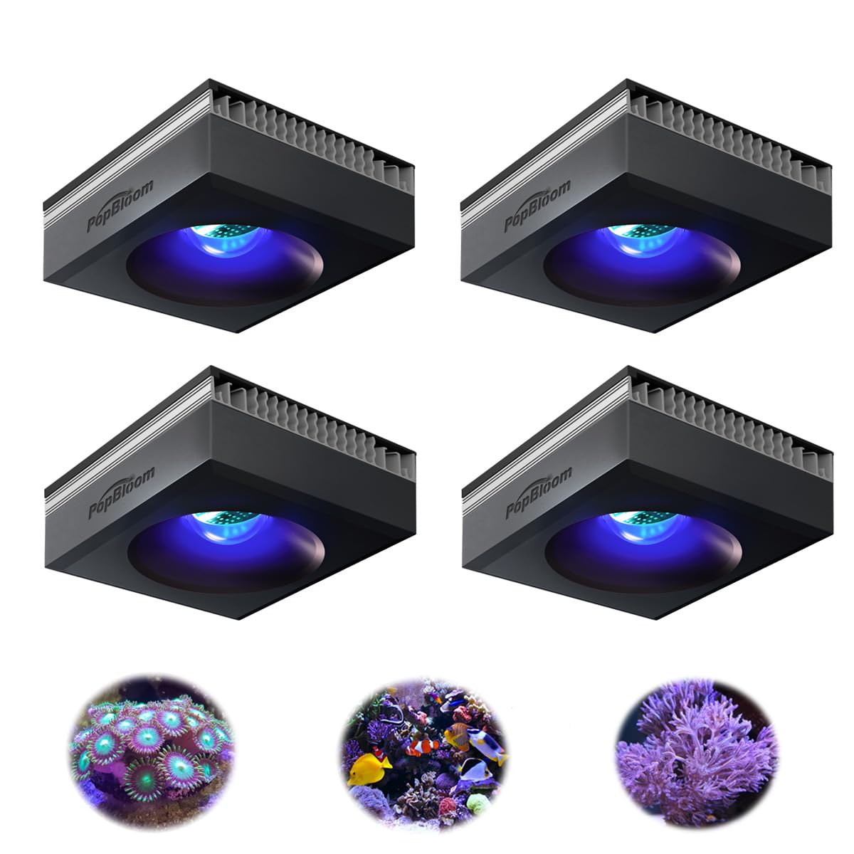 PopBloom 4 piezas RL90 Luz LED de espectro completo para acuarios Iluminador para acuarios de arrecife 96 pulgadas (240 centímetros)