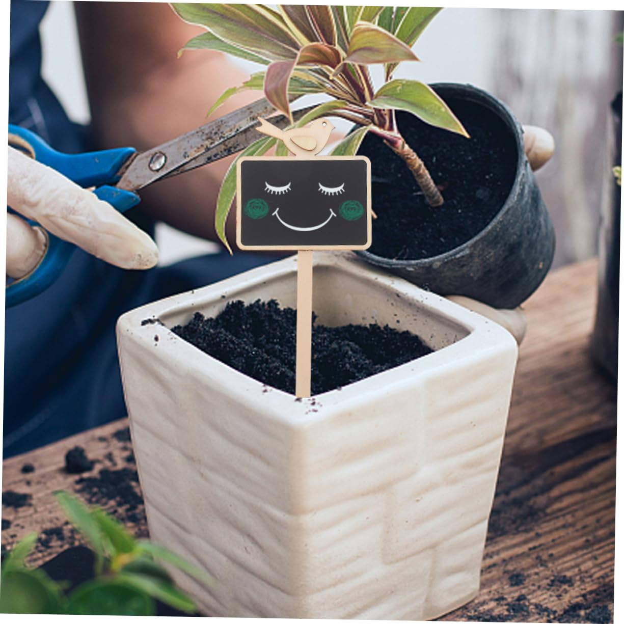 Toddmomy 40pièces Étiquettes Bois Pour Plantes Panneaux Multi-usage Avec Ardoise Pour Marquer Fleurs Et Jardins Décorations Pratiques Et Classificatrices Pour Amateurs De Jardinage