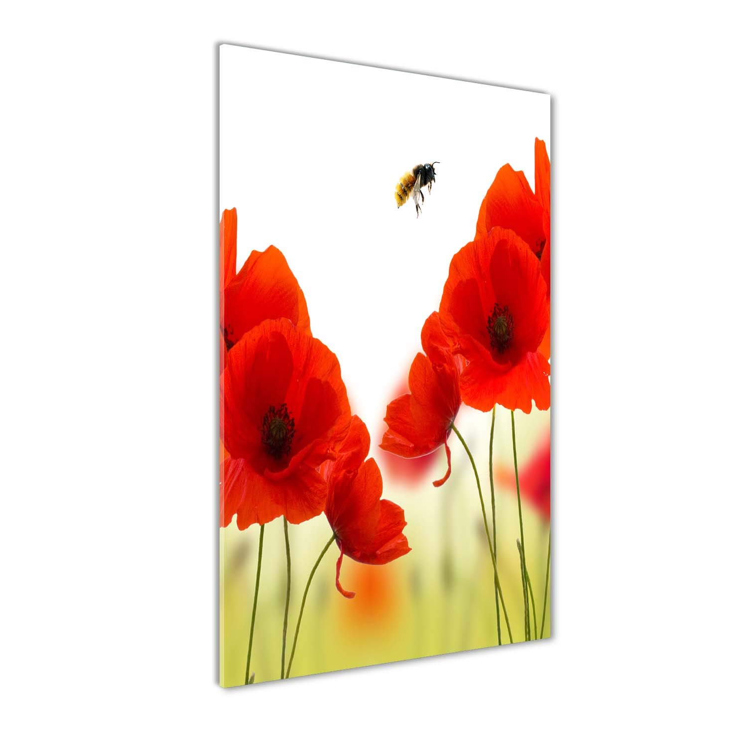 Tableau en verre trempé 70x140cm coquelicots pour habiller un mur