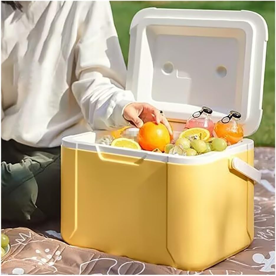 Hard Cooler, Insulated Ice Chest Box Holds Ice for 48H, Portable Cooler with Handle for Camping Drink Beach Picnic Fishing Boat BBQ