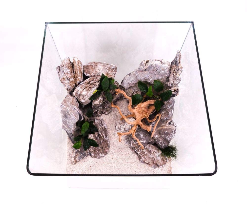 Nanotank 60 Aquarium Couverture Sous-couche Cube Lavabo Verre Panoramique Eau Douce