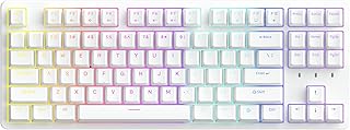 IROK FE87 Mechanical Keyboard, Hot Swappable RGB Gaming Keyboard, N Key Rollover, Anti Ghosting, TKL 87 Keys Customizable Backlit, Magnet Upper Cover Type-C Wired Keyboard for Mac Windows