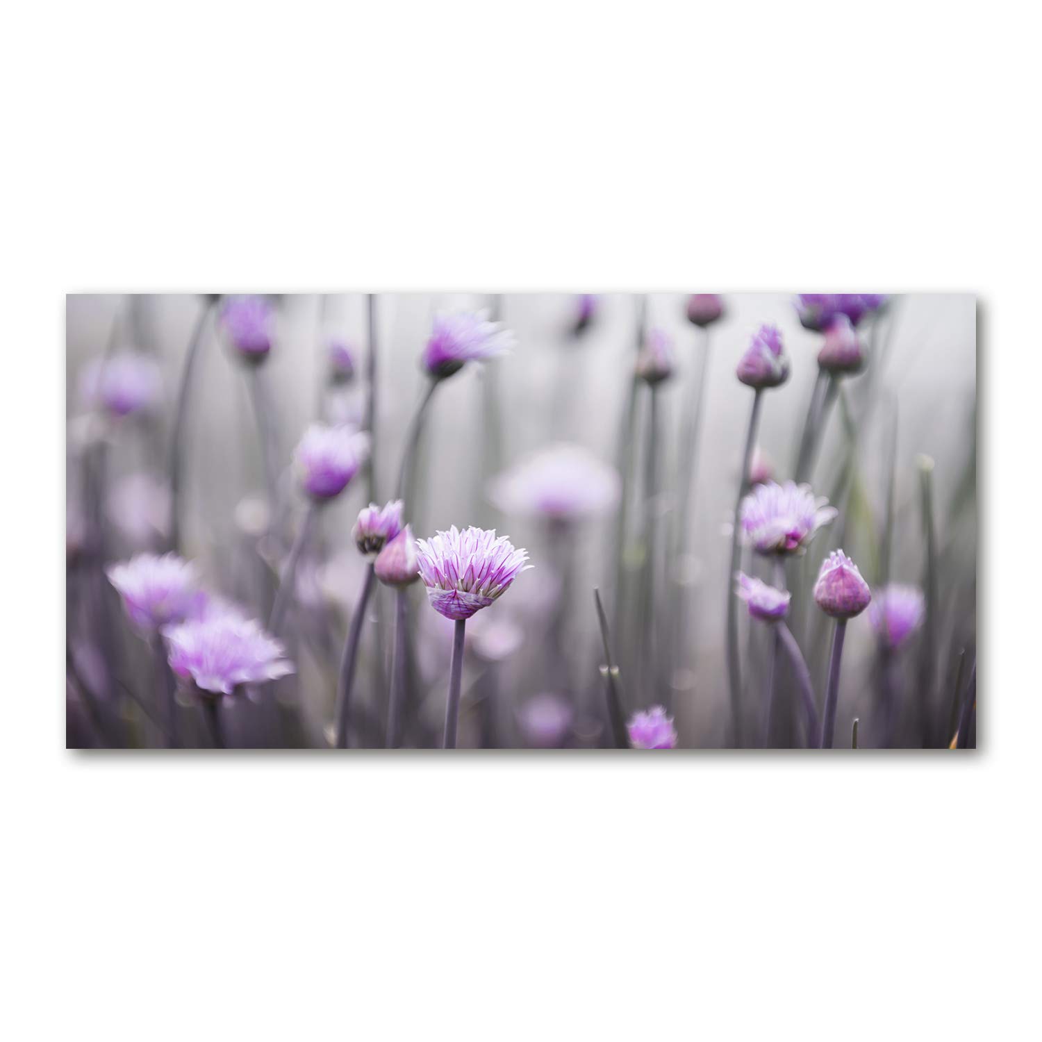Image verre plastique déco mural Tulup 120x60cm tableau acrylique fleurs violettes