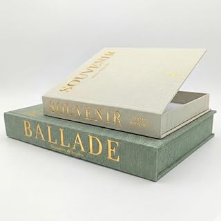 Faux livres décoration d'intérieur en lin – Lot de 2 boîtes secrètes luxe pour deco de bibliothèque ou étagère salon – Livres factices avec rangement télécommande ou autres objets (Vert sauge & Beige)