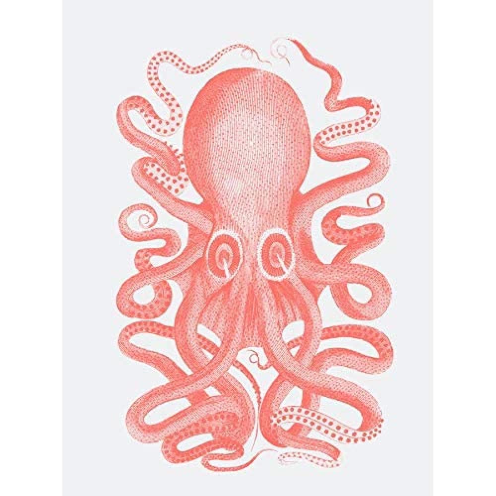 Wee Blue Coo Living Coral Octopus Unframed Wall Art Print Poster Home Decor Premium