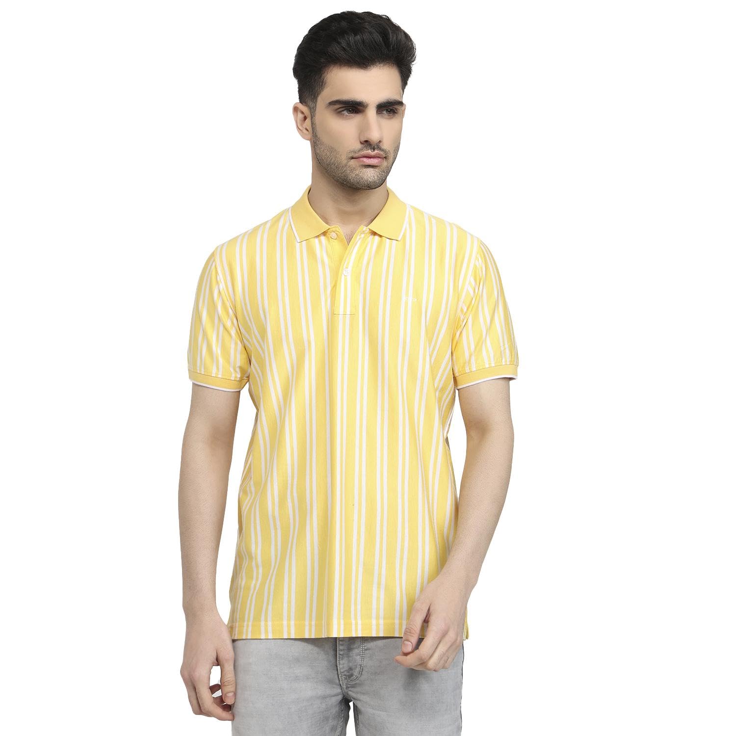Colorplus Men Regular Fit Stripe Pattern Pure Cotton Polo Neck Half Sleeve Casual T-Shirt