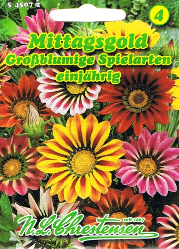 Tipos de juego de flores grandes de Almuerzo Gold, un año, floreciente permanente en un rico juego de colores 'Gazania Hybride'