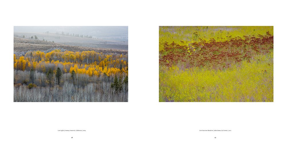 William Neill - Photographer: A Retrospective