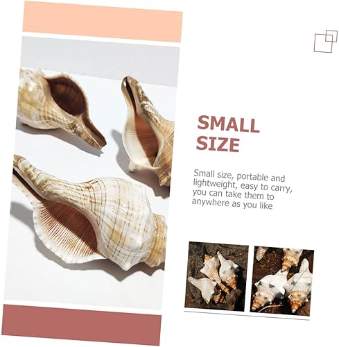 Miniatura 6 de Decoración de conchas para pecera, conchas marinas gigantes, conchas oceánicas, decoración de fiesta temática de playa, mariposas decorativas para