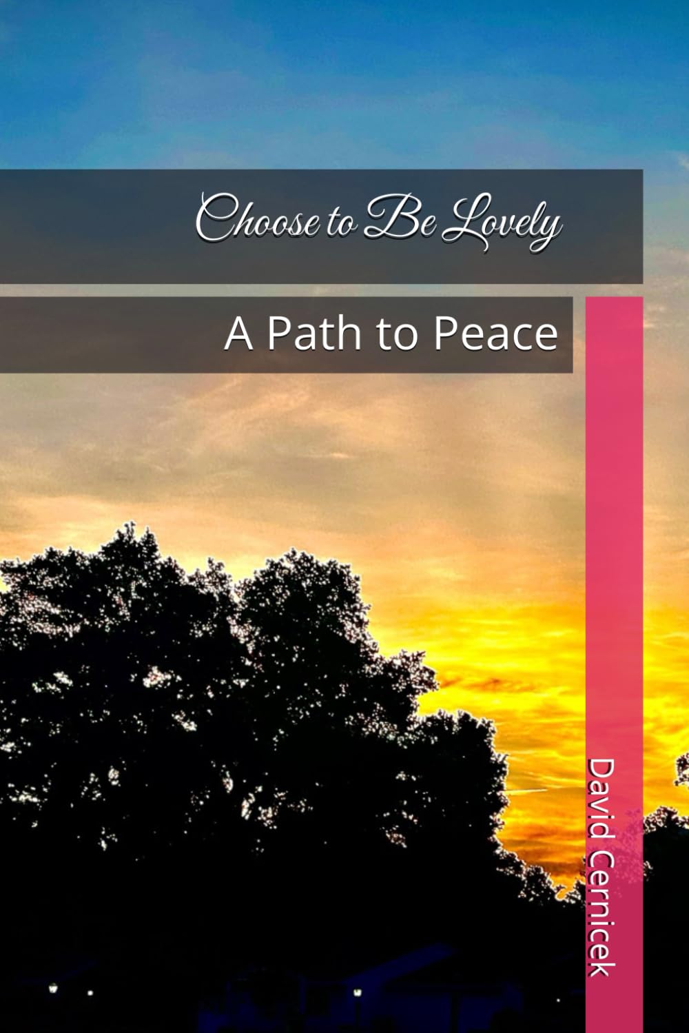 Choose to Be Lovely: A Path to Peace