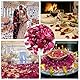 Blütenkonfetti Hochzeit 200g, 100% Blütenblätter, Natürliche Getrocknete Rosenblätter Biologisch Konfetti Rose für Geburtstag Vorschlag Party Feiern -umweltfreundlich und Abbaubar (200)