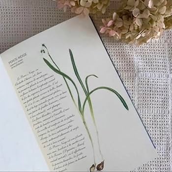 Amazon.co.jp: 1995年 お洒落なフランスの植物図鑑 洋書 古書