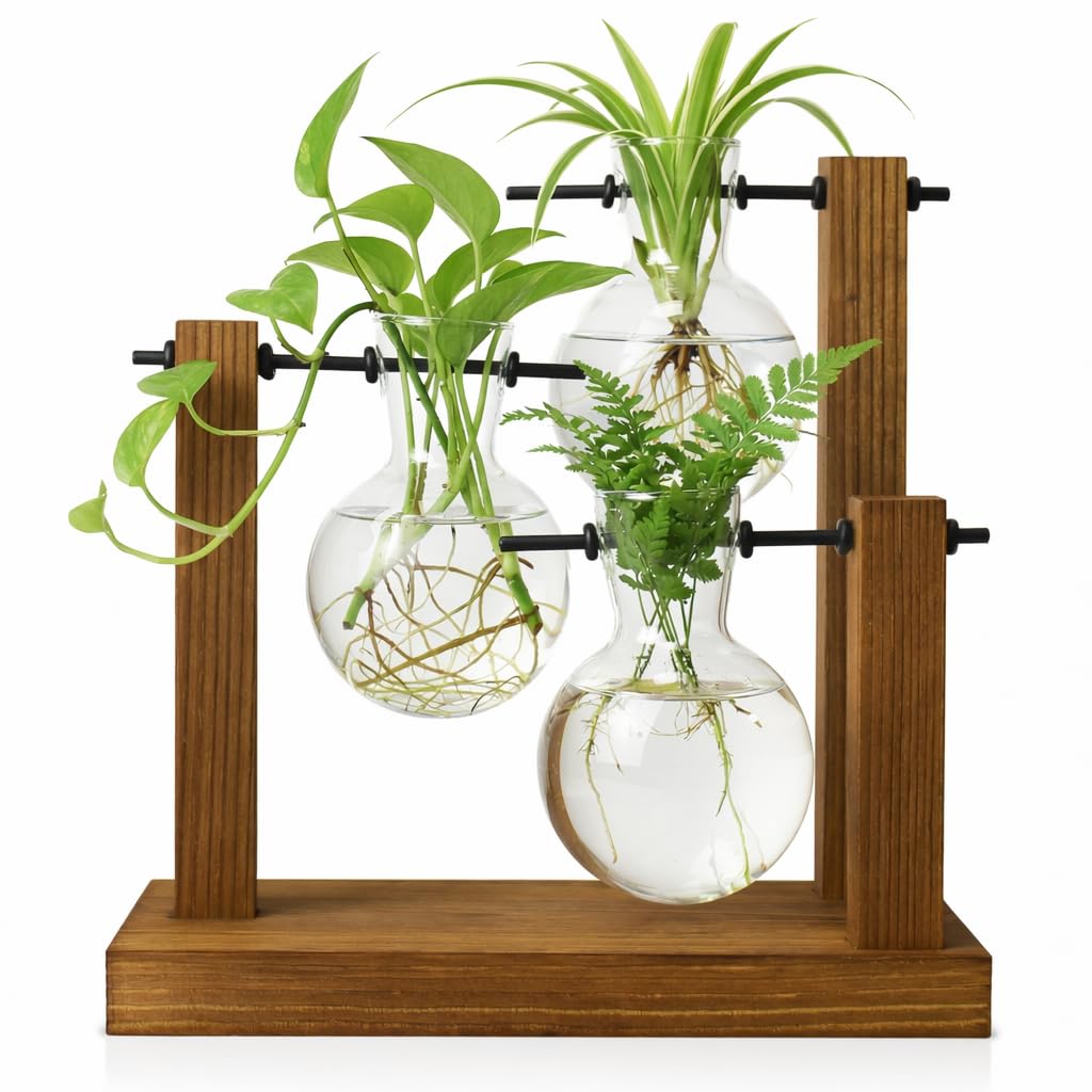 Station de propagation de plantes en verre avec support en bois pour boutures