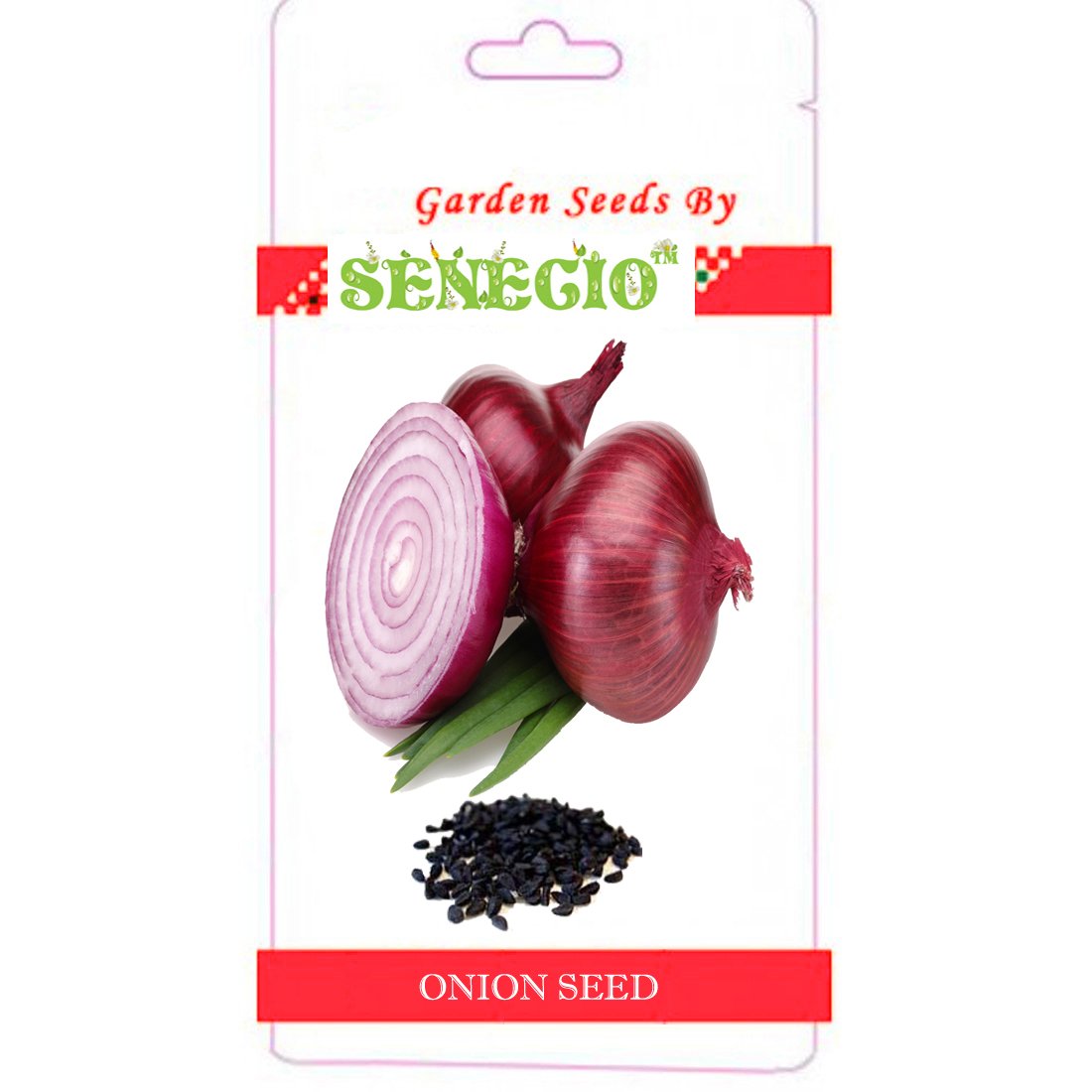 SENECIO� Onion 100 Seeds by GalexiaR